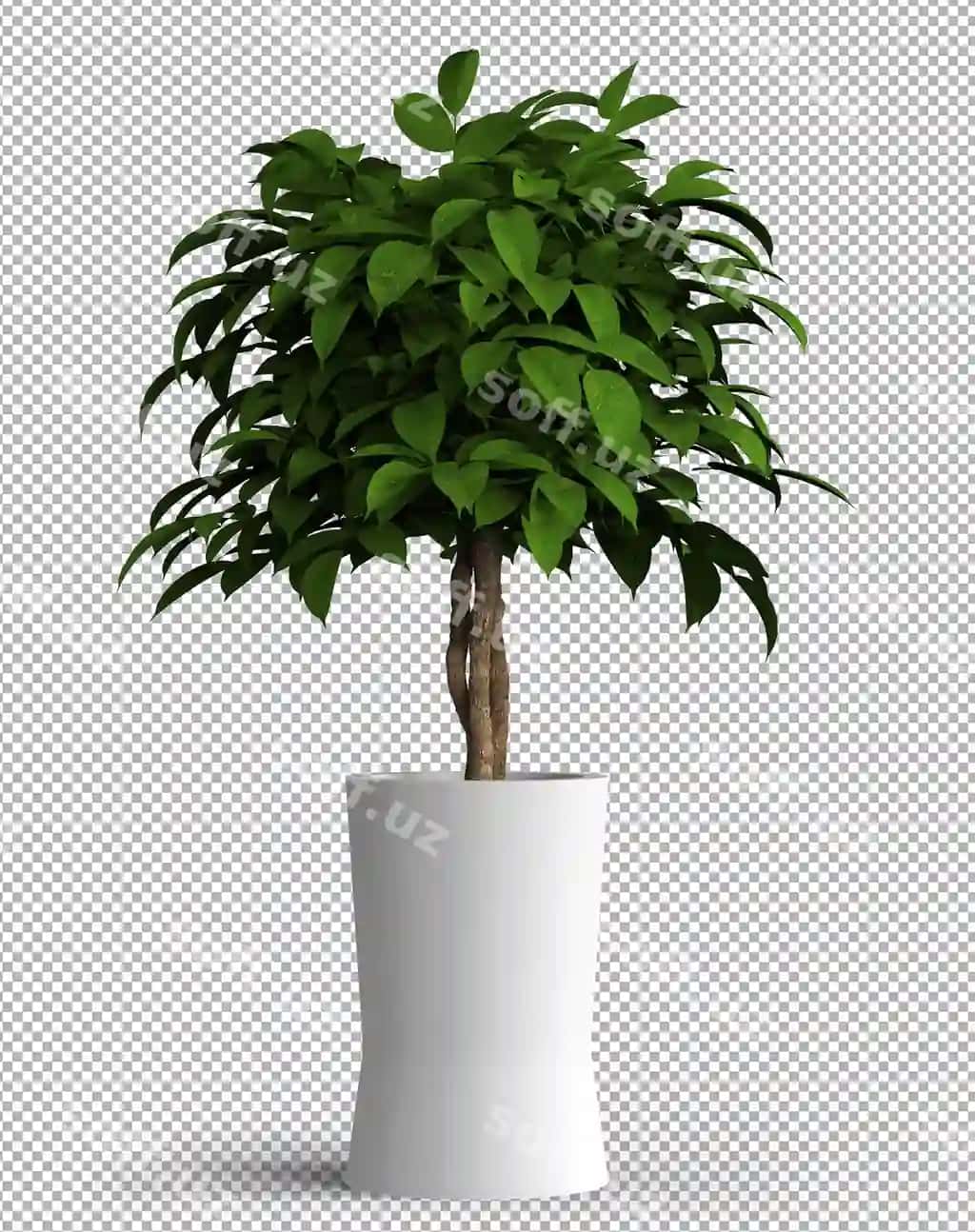 Ajraltirilgan o'simlik qozon | Isolated plant pot