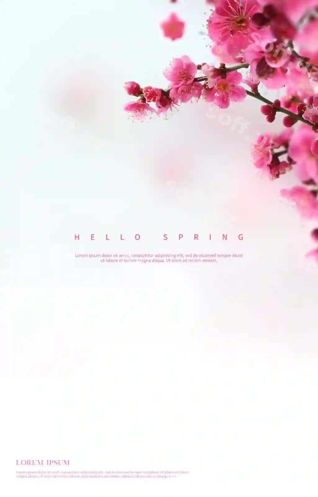 Go'zal bahor gullari foni | Beautiful spring flowers background