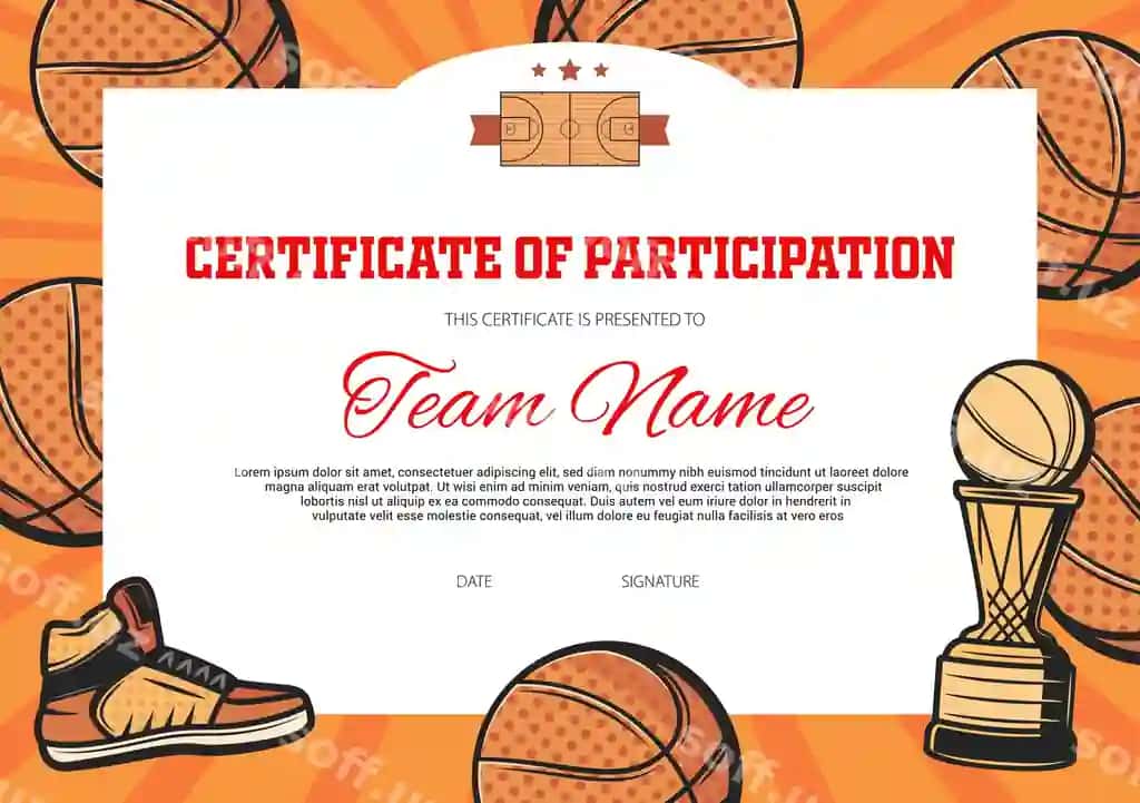 Sertifikat qatnashuvchi basebol sporti | Certificate participation baseball sport