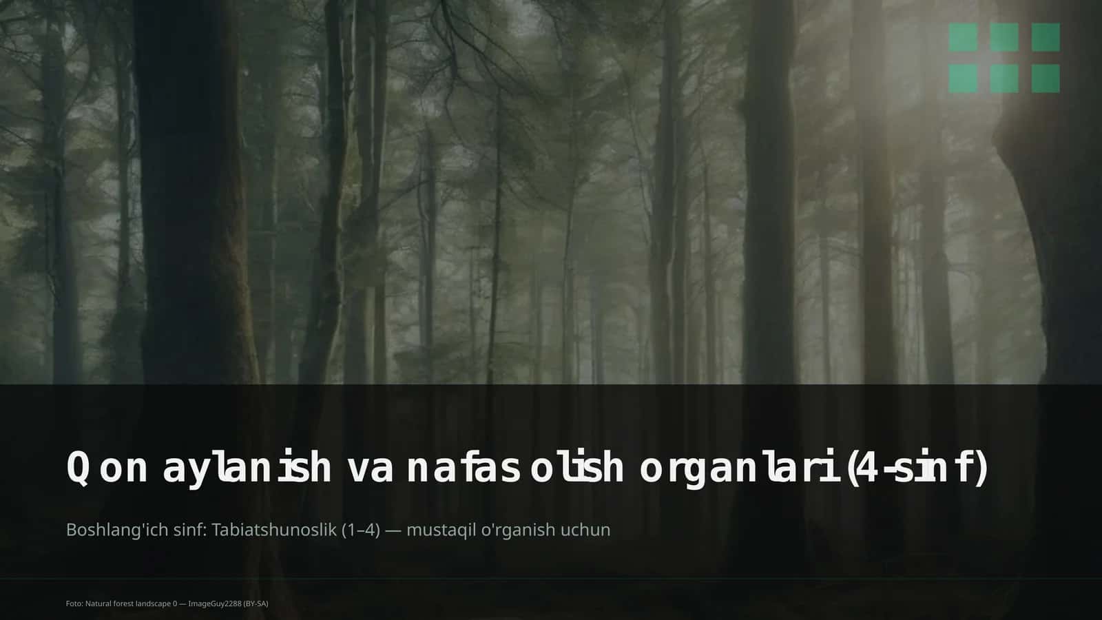 Qon aylanish va nafas olish organlari (4-sinf)