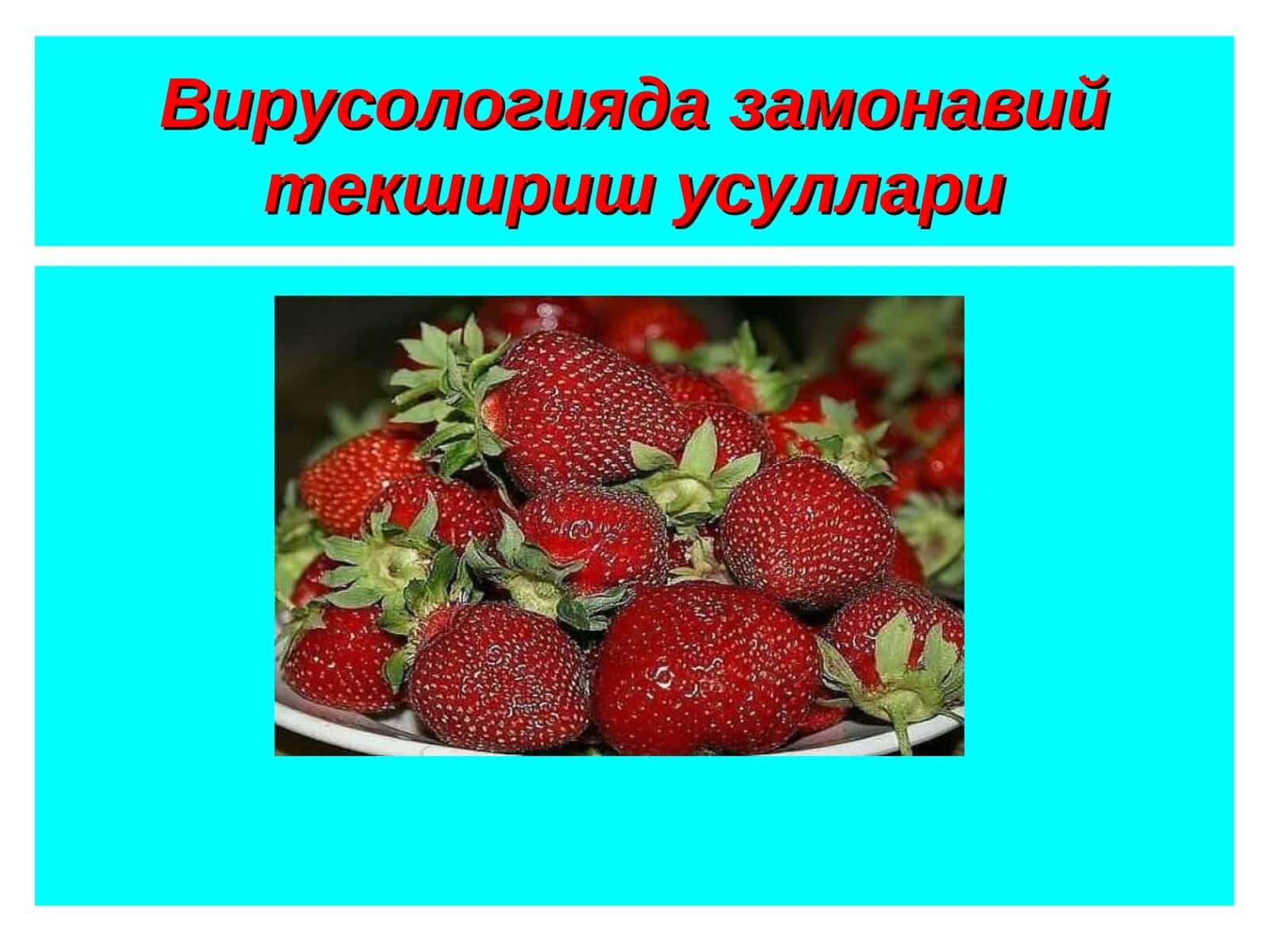 Вирус ингибиторлари