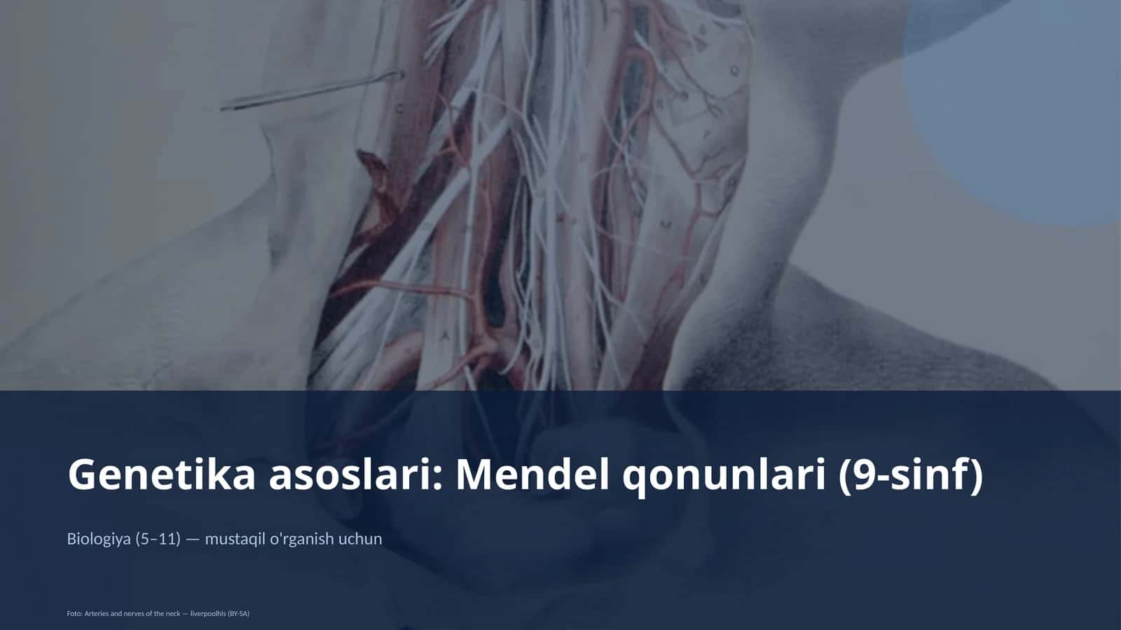 Genetika asoslari: Mendel qonunlari (9-sinf)