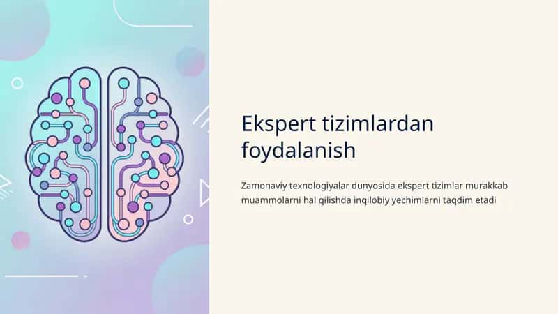 Ekspert tizimlardan foydalanish 1