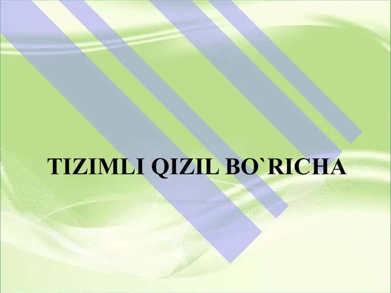 Tizimli qizil bo`richa