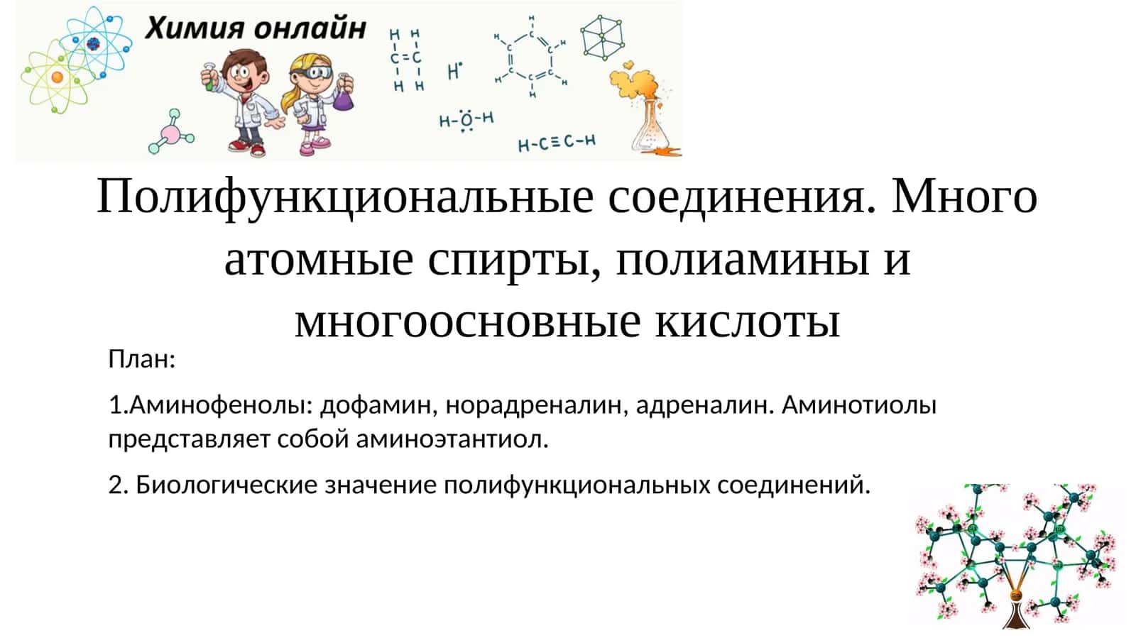 Полифункциональные соединения. Много атомные спирты, полиамины и многоосновные кислоты