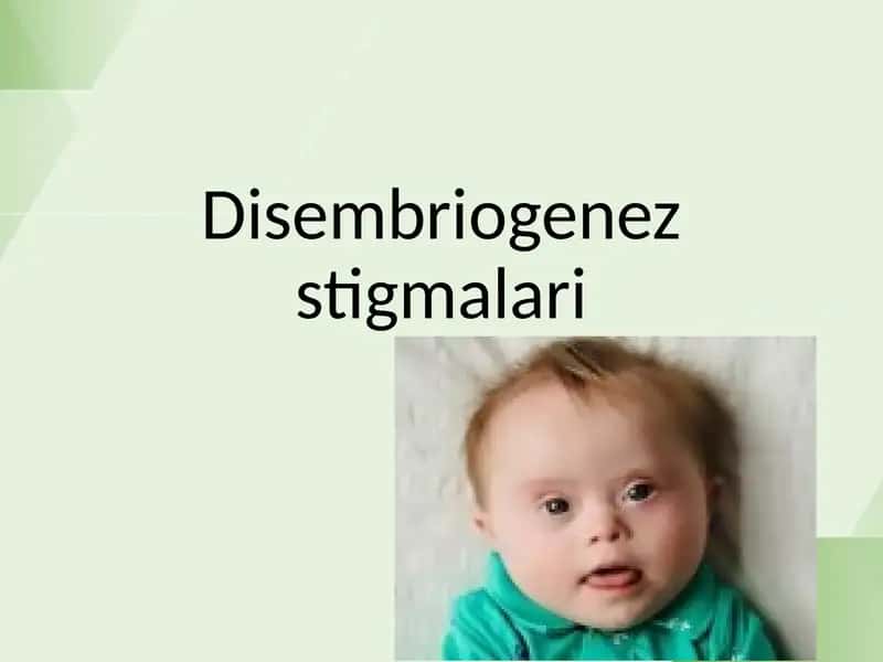 Disembriogenez stigmalari