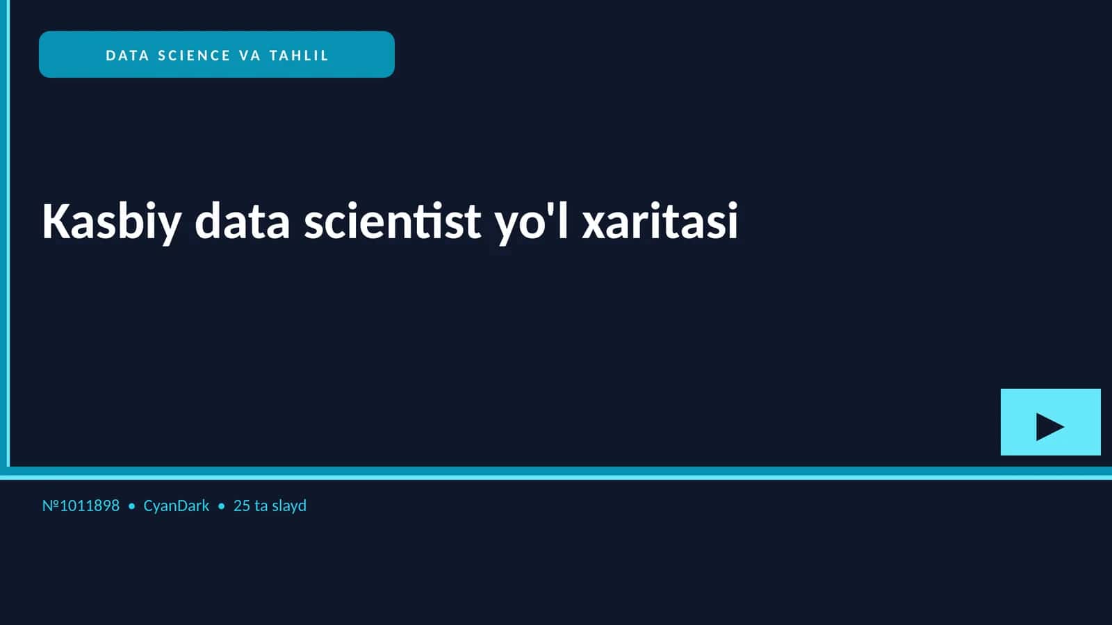 Kasbiy data scientist yo'l xaritasi
