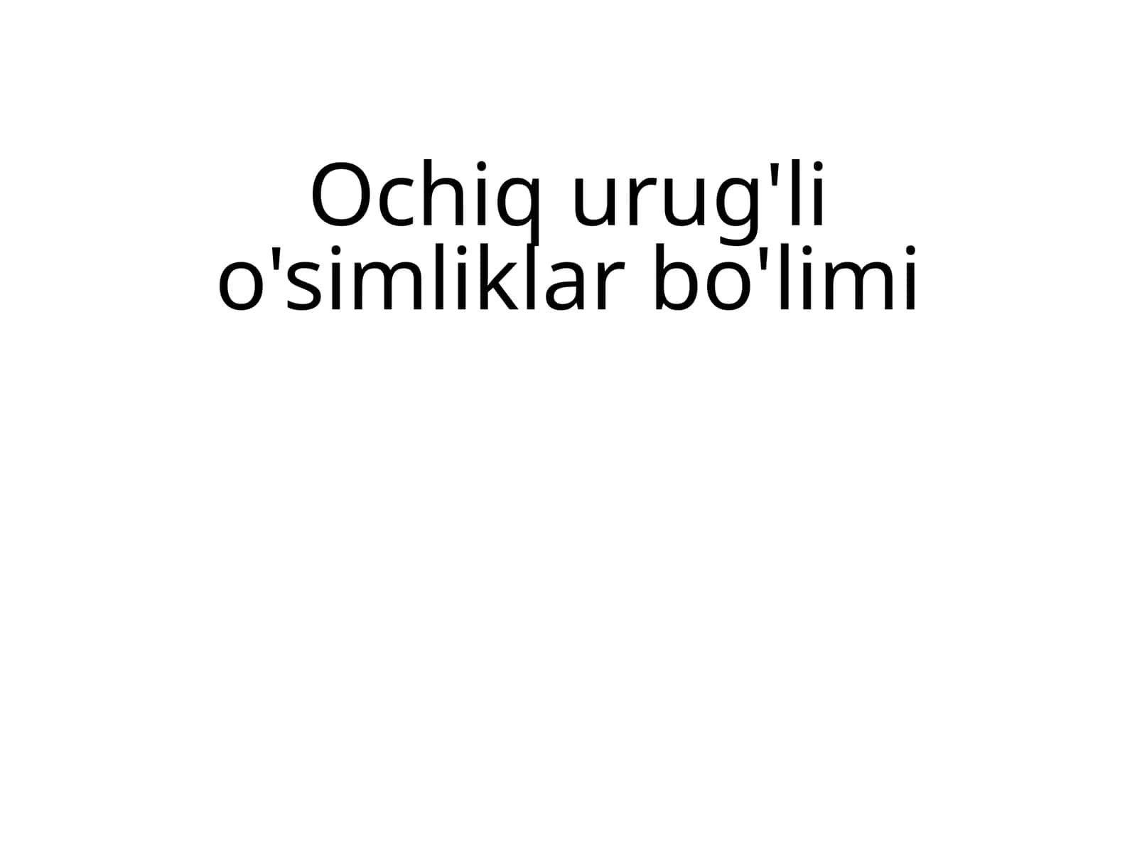 Ochiq urug'li o'simliklar
