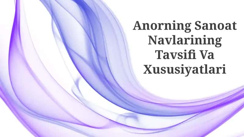Anorning Sanoat Navlarining Tavsifi Va Xususiyatlari