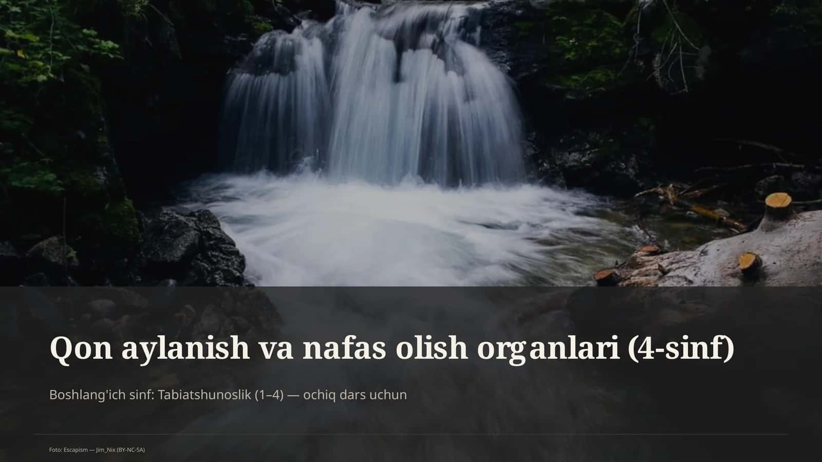 Qon aylanish va nafas olish organlari (4-sinf)