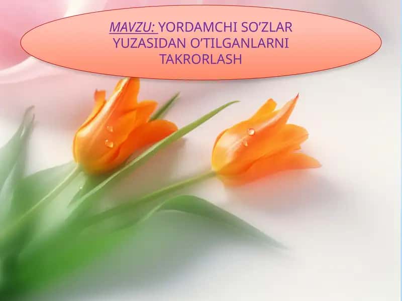 Yordamchi So’zlar