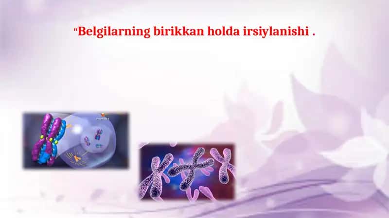 Jinsiy xromosomalar va avlodlar