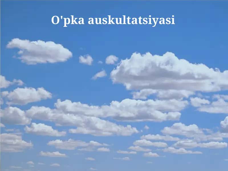 Auskultatsiya
