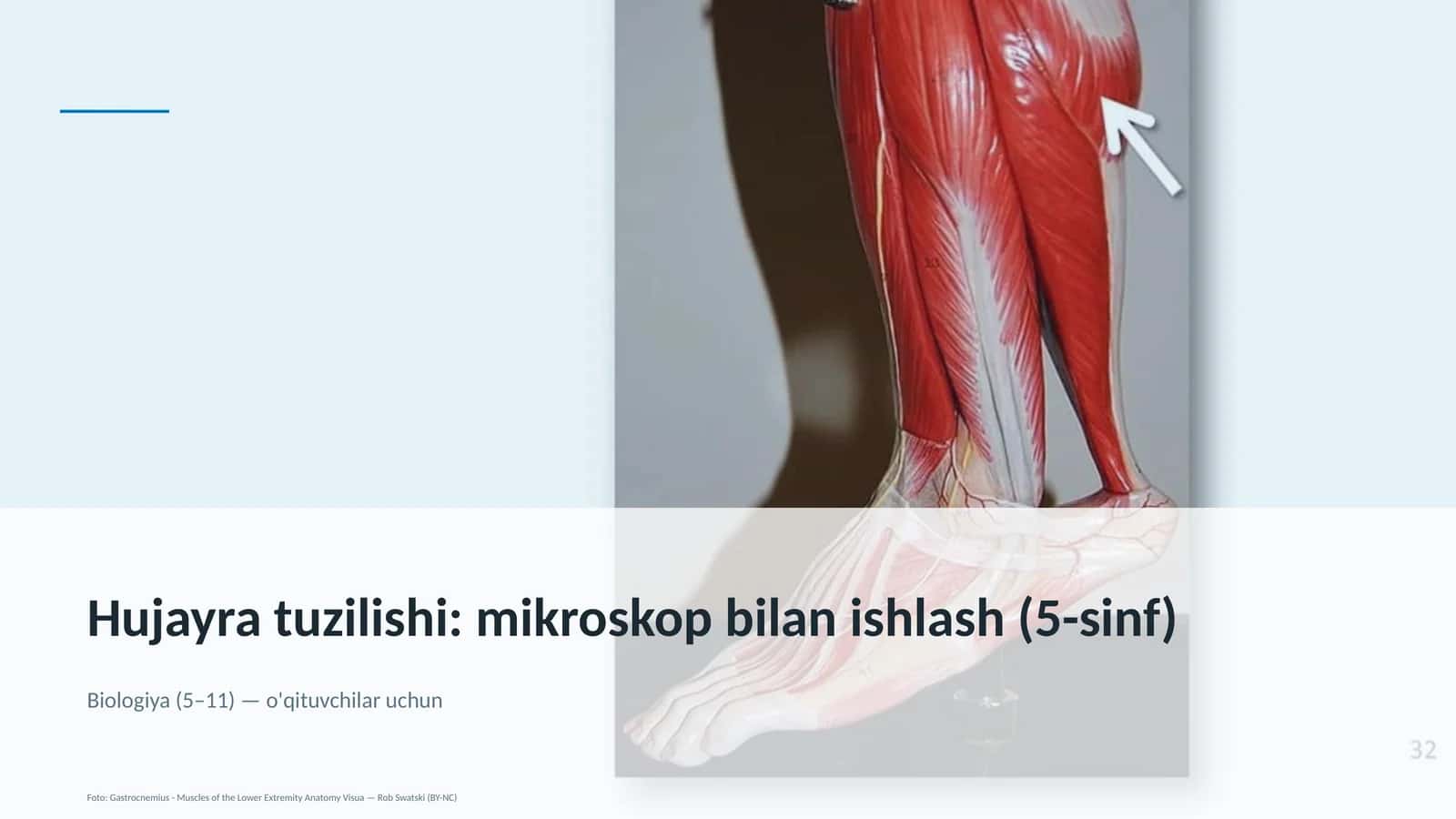 Hujayra tuzilishi: mikroskop bilan ishlash (5-sinf)