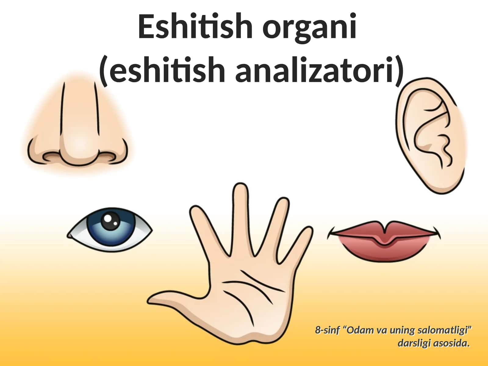 Eshitish organi (eshitish analizatori)