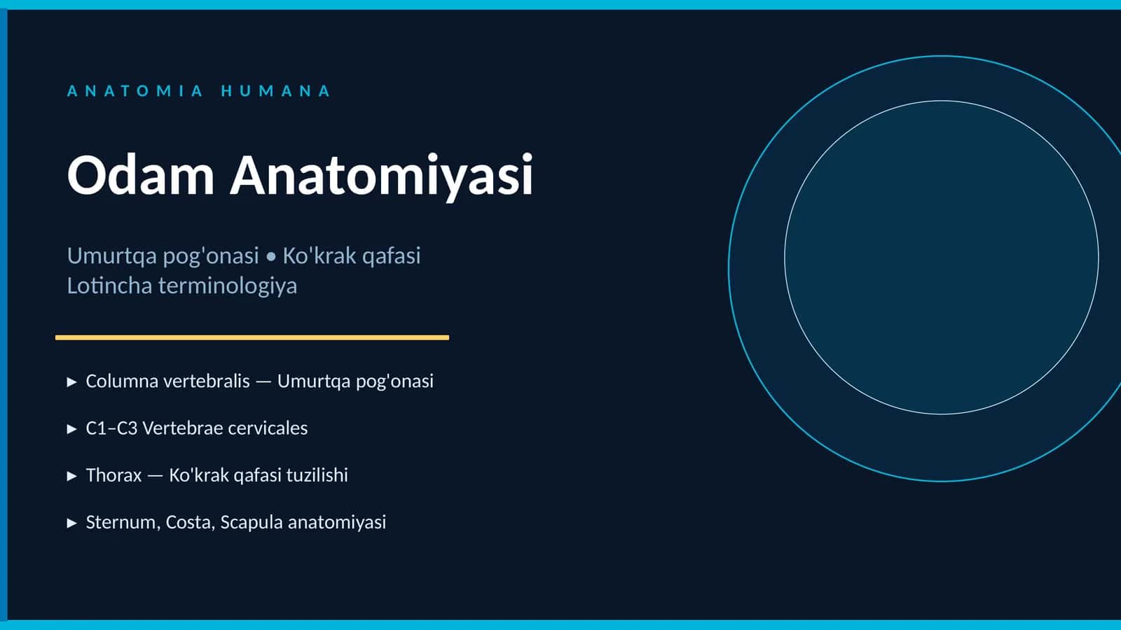 Umurtqa pog'onasi va Ko'krak qafasi Lotincha terminologiya