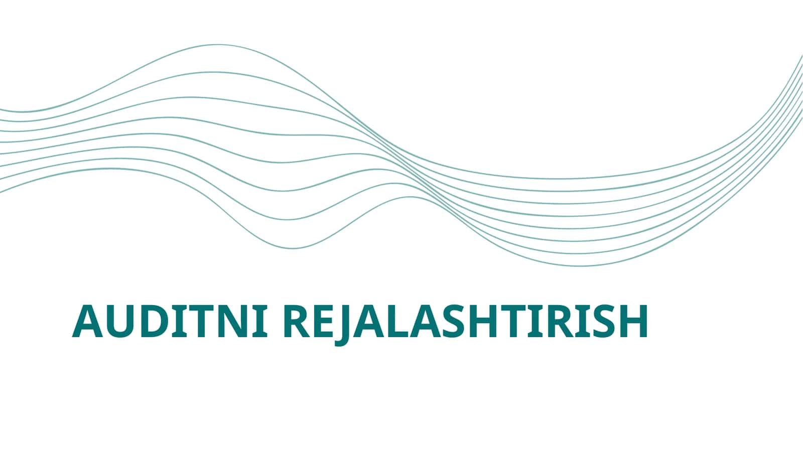 Auditni Rejalashtirish
