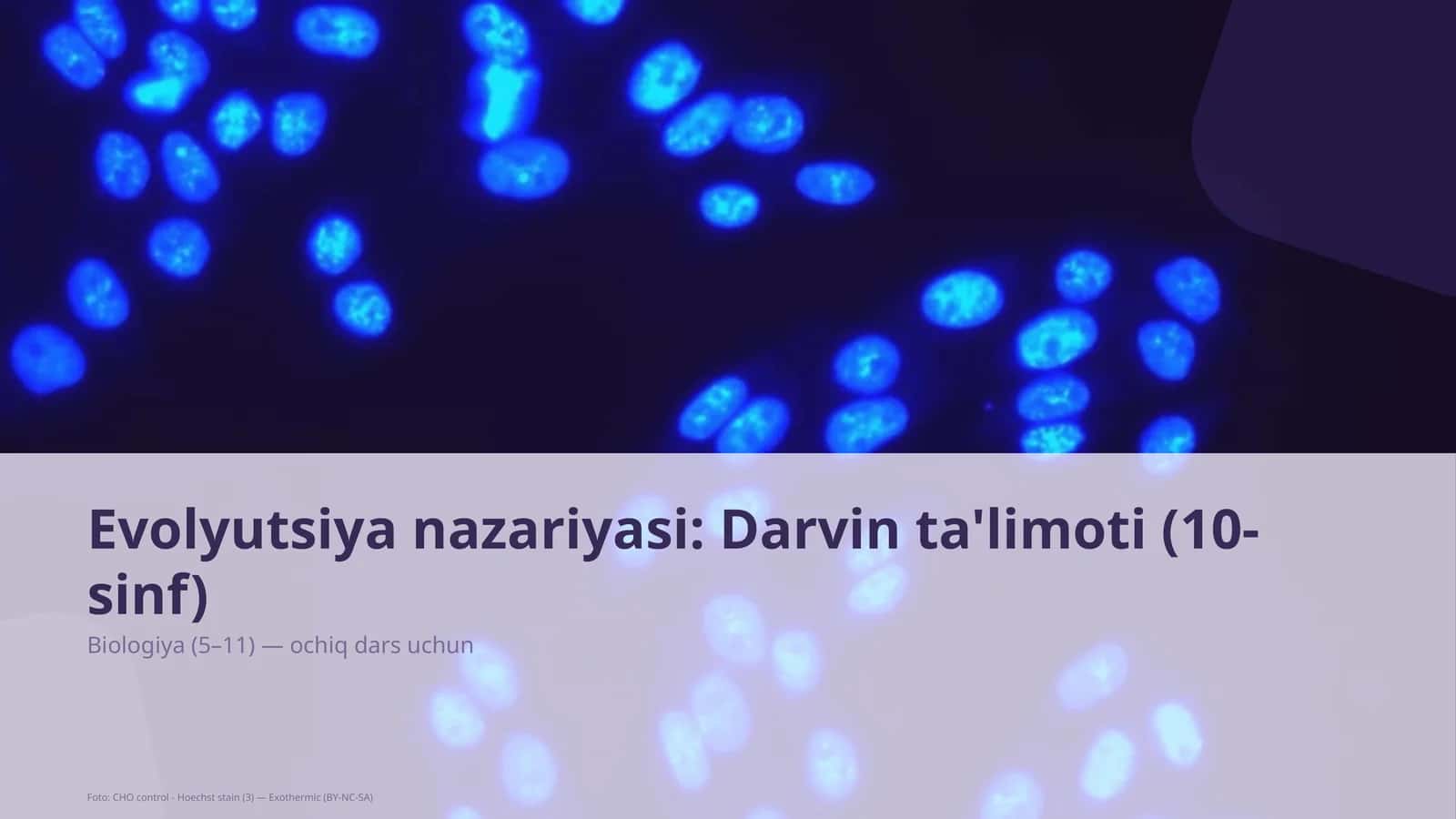 Evolyutsiya nazariyasi: Darvin ta'limoti (10-sinf)