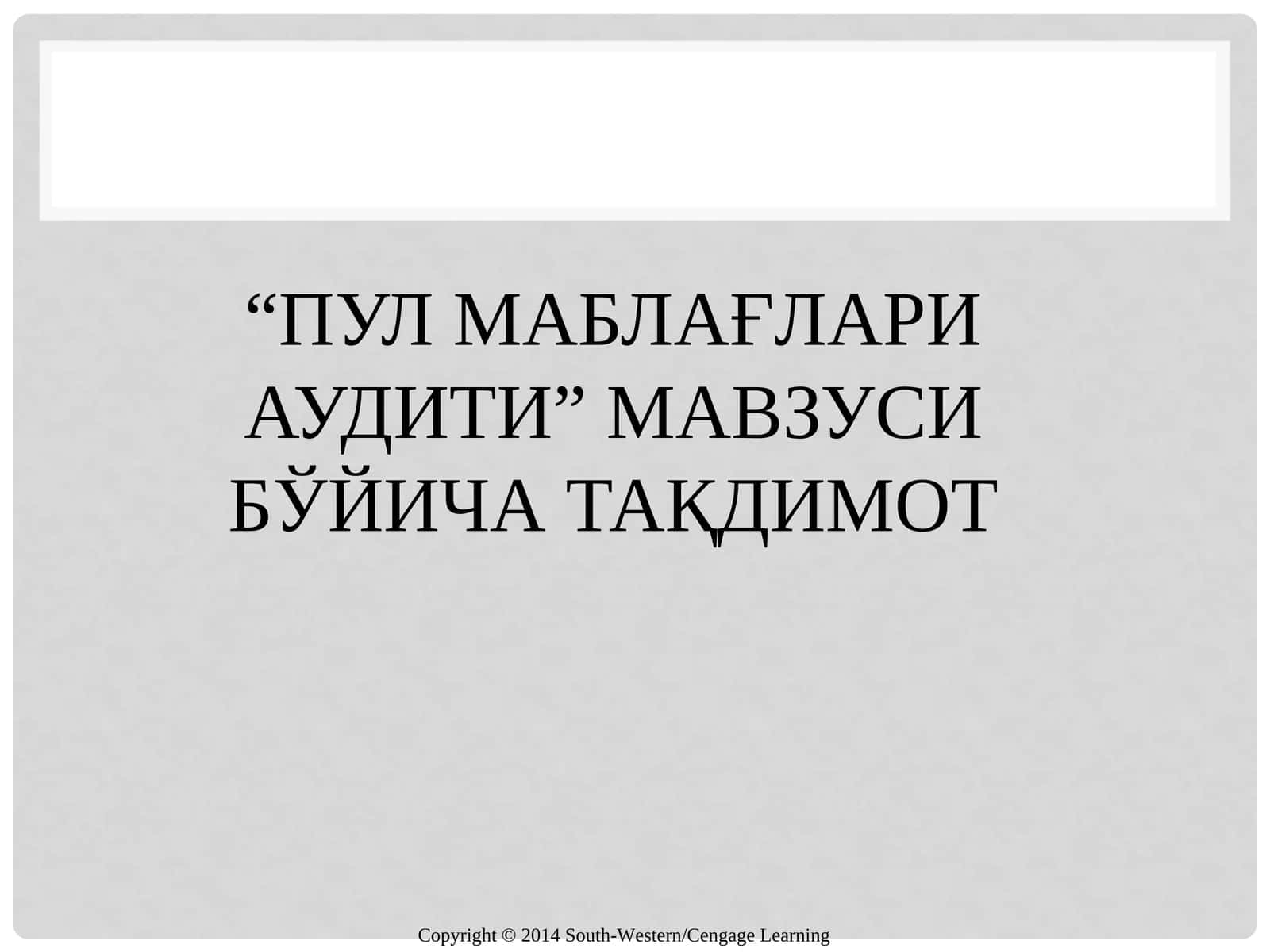 ПУЛ МАБЛАҒЛАРИ АУДИТИ