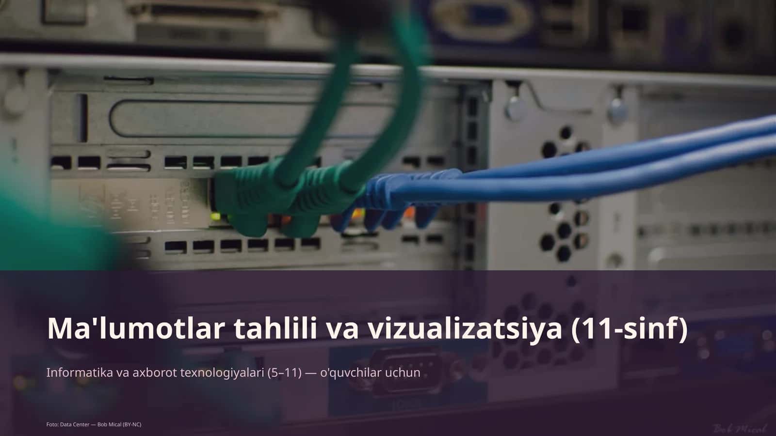 Ma'lumotlar tahlili va vizualizatsiya (11-sinf)