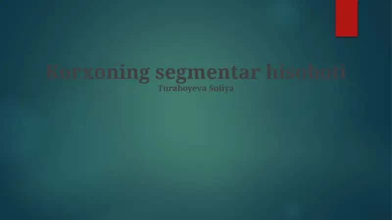 Korxoning segmentar hisoboti