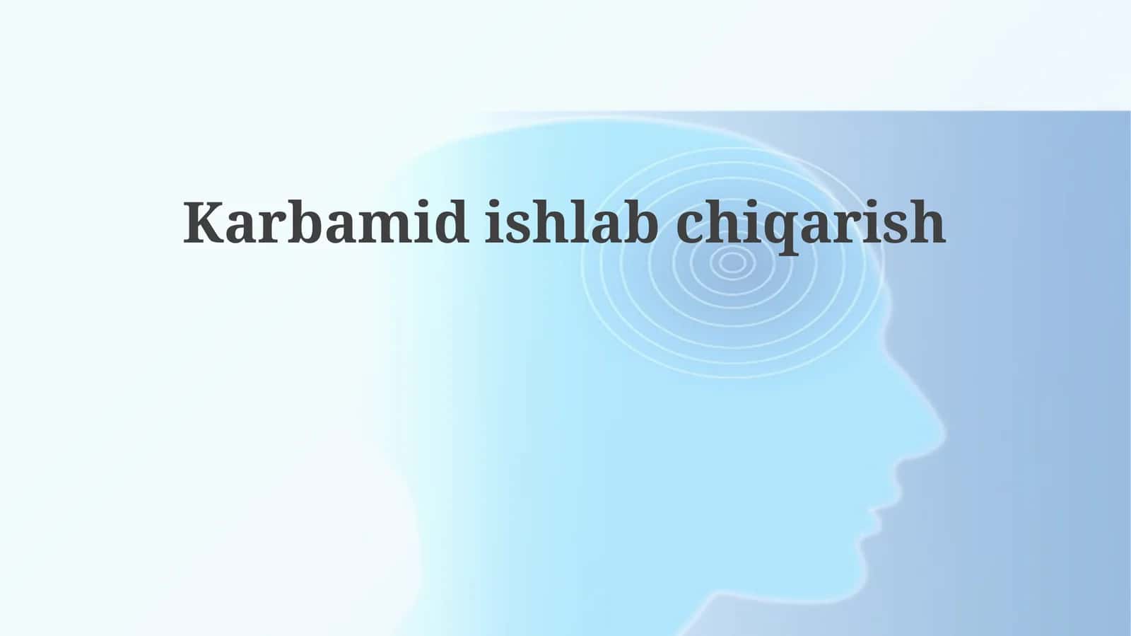 Karbamidishlabchiqarish