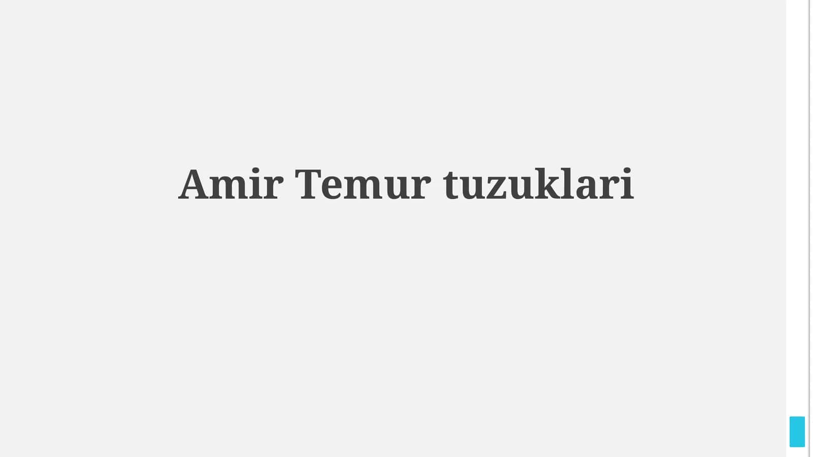 Amir Temurtuzuklari