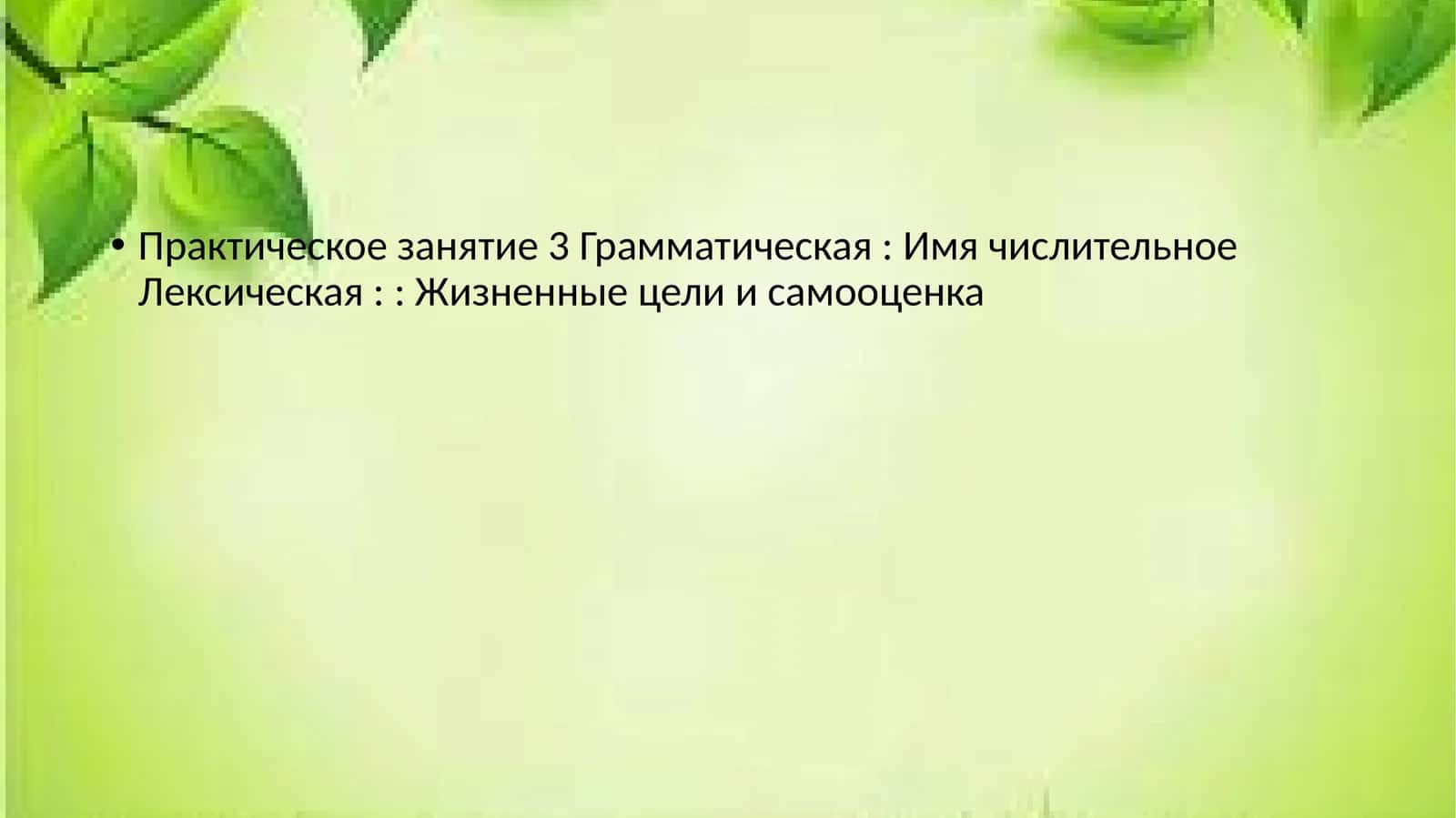 Практическое занятие 3 Грамматическая