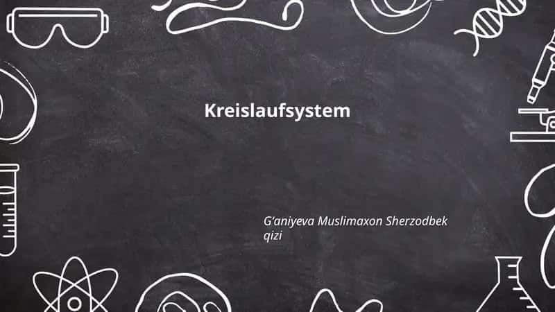 Kreislaufsystem