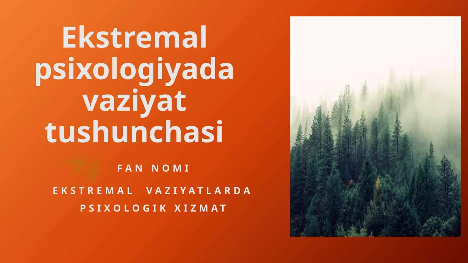 Ekstremal vaziyatlarda psixologik xizmat prezentatsiya