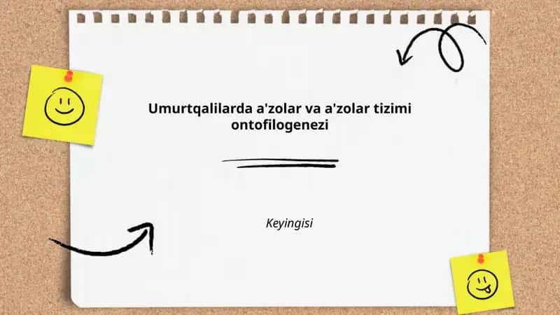 Umurtqalilarda a'zolar va a'zolar tizimi ontofilogenezi