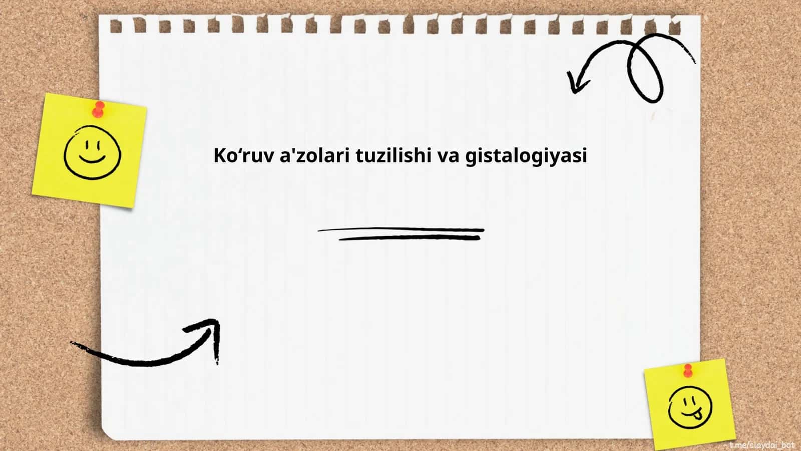 Ko‘ruv a'zolari tuzilishi va gistalogiyasi