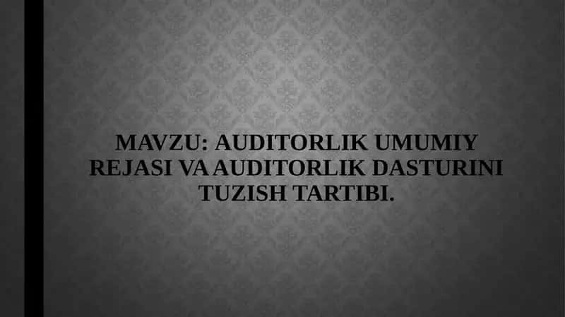 Auditorlik umumiy rejasi va auditorlik dasturini tuzish tartibi