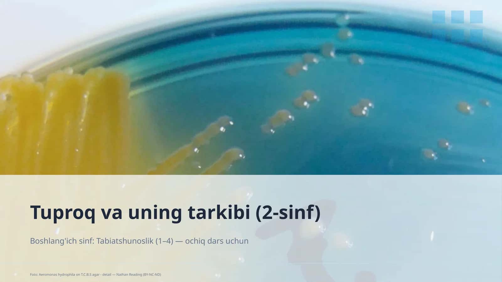 Tuproq va uning tarkibi (2-sinf)