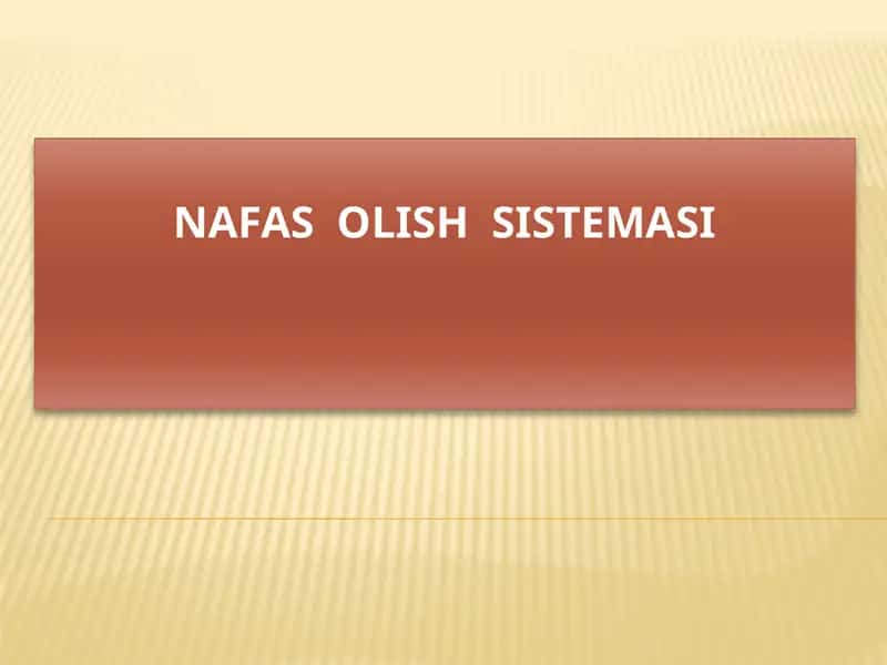Nafas olish sistemasi