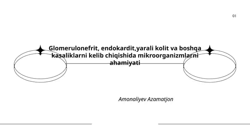 Glomerulonefrit, endokardit,yarali kolit va boshqa kasaliklarni kelib chiqishida mikroorganizmlarni ahamiyati