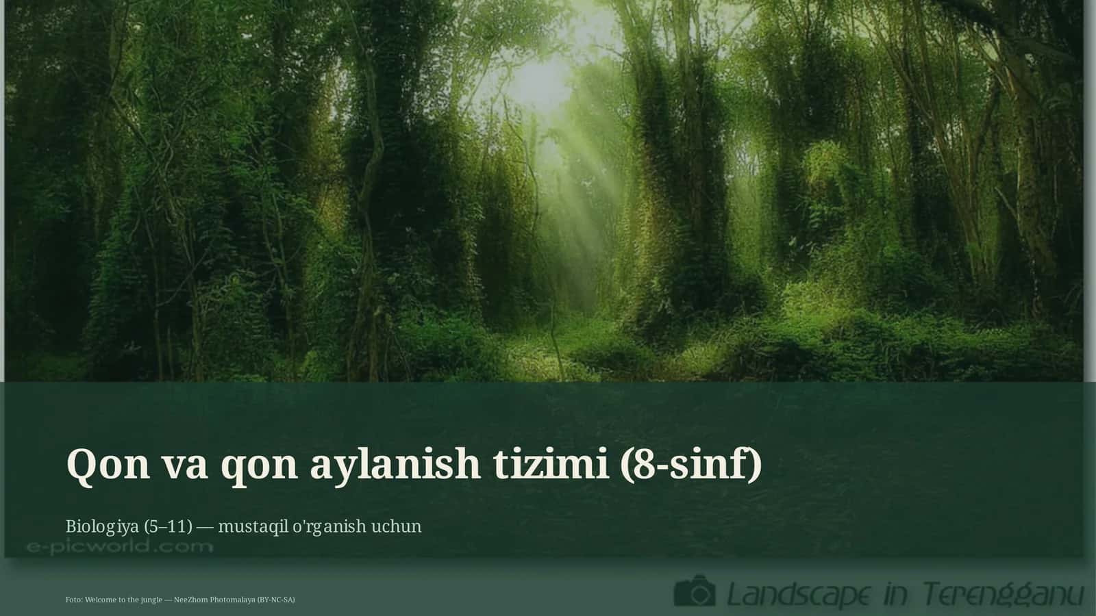 Qon va qon aylanish tizimi (8-sinf)