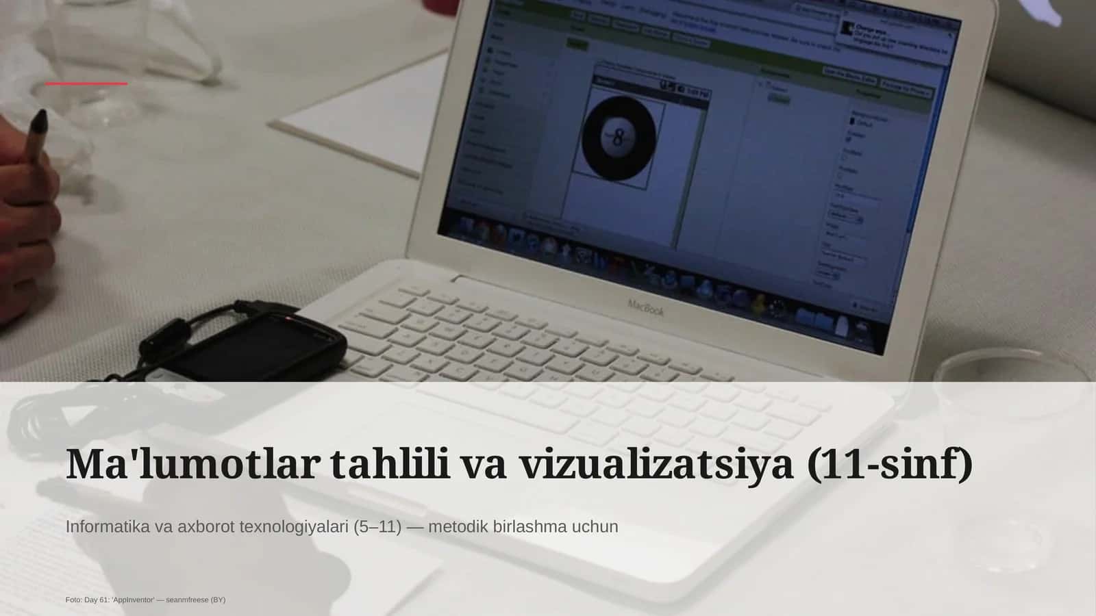 Ma'lumotlar tahlili va vizualizatsiya (11-sinf)