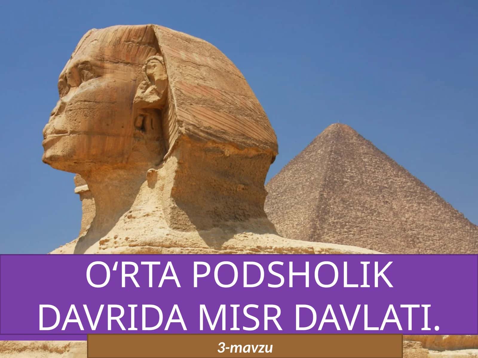 O‘RTA PODSHOLIK DAVRIDA MISR DAVLATI