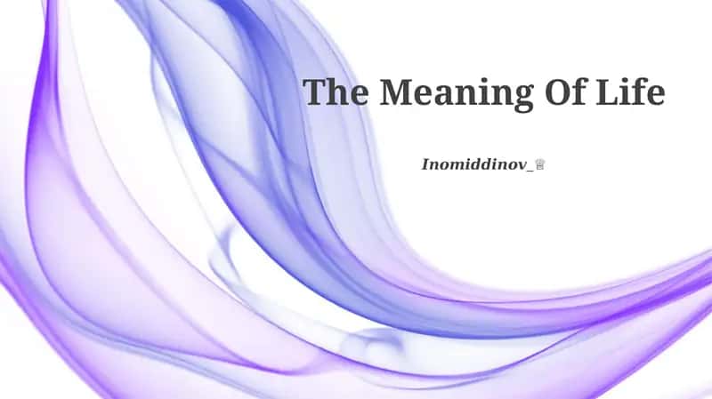 The Meaning Of Life