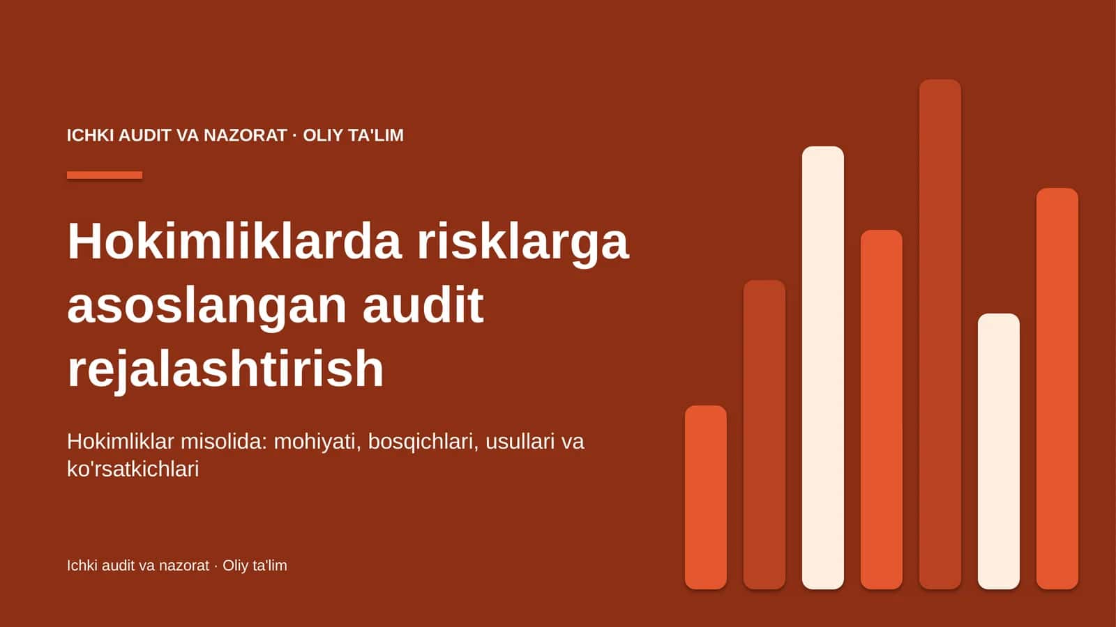 Hokimliklarda risklarga asoslangan audit rejalashtirish