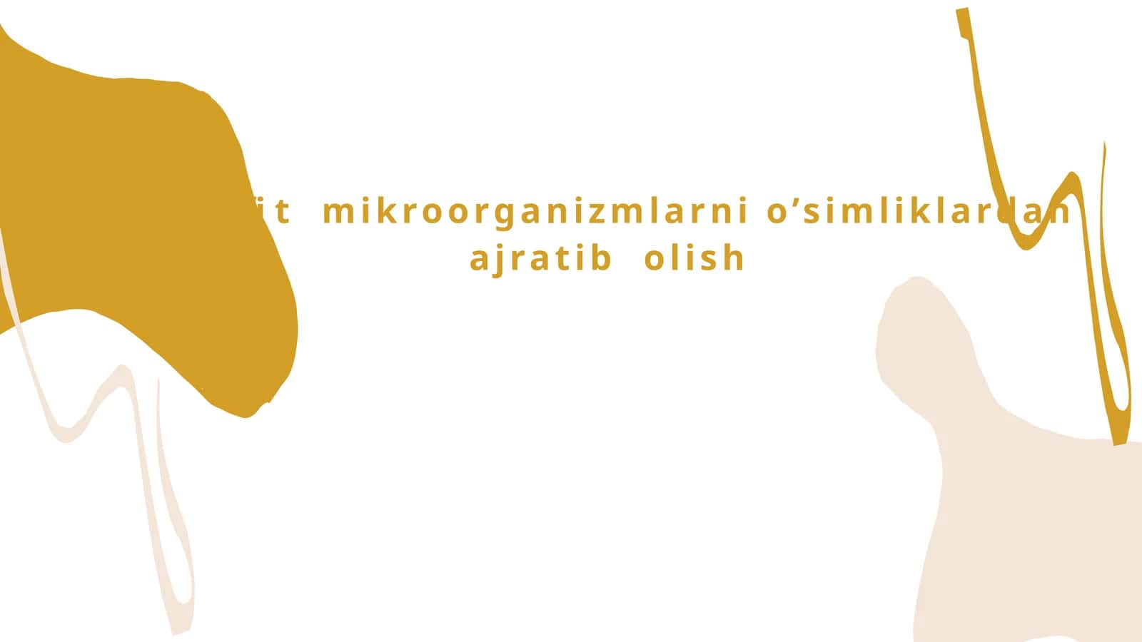 Endofit mikroorganizmlarni o’simliklardan ajratib olish