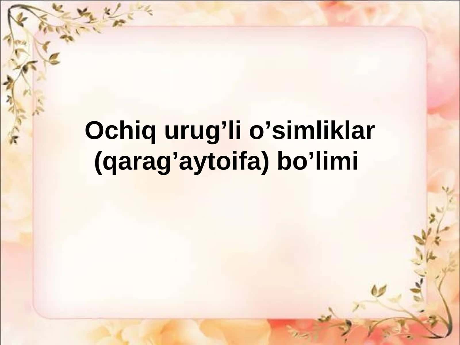 Ochiq urug’li o’simliklar (qarag’aytoifa) bo’limi