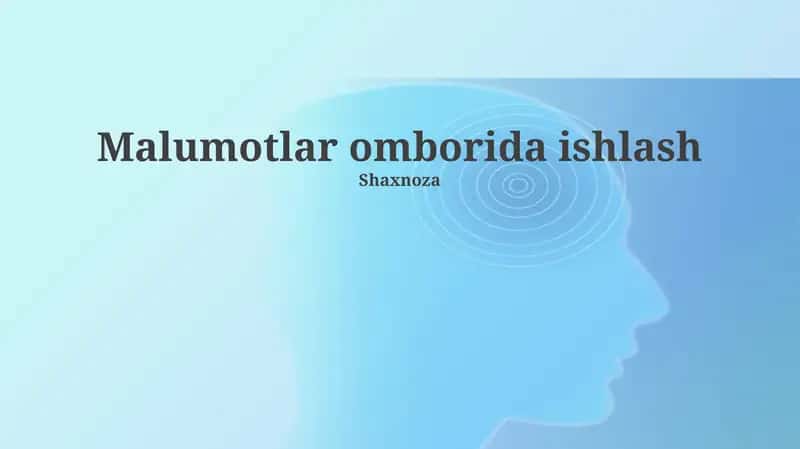 Ma'lumotlar omborida ishlash