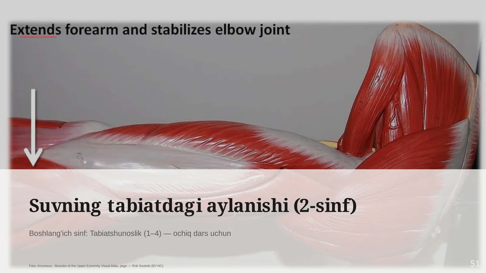 Suvning tabiatdagi aylanishi (2-sinf)