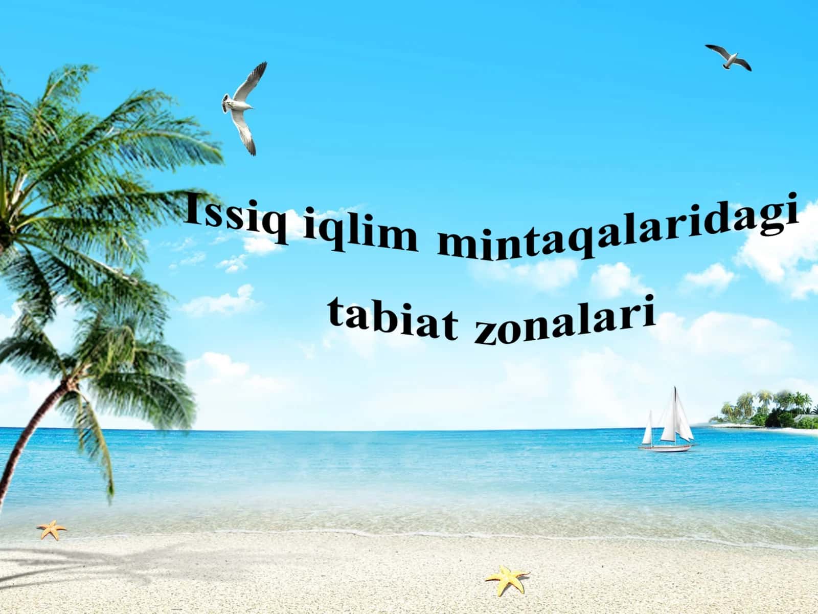 Issiq iqlim mintaqalaridagi tabiat zonalari