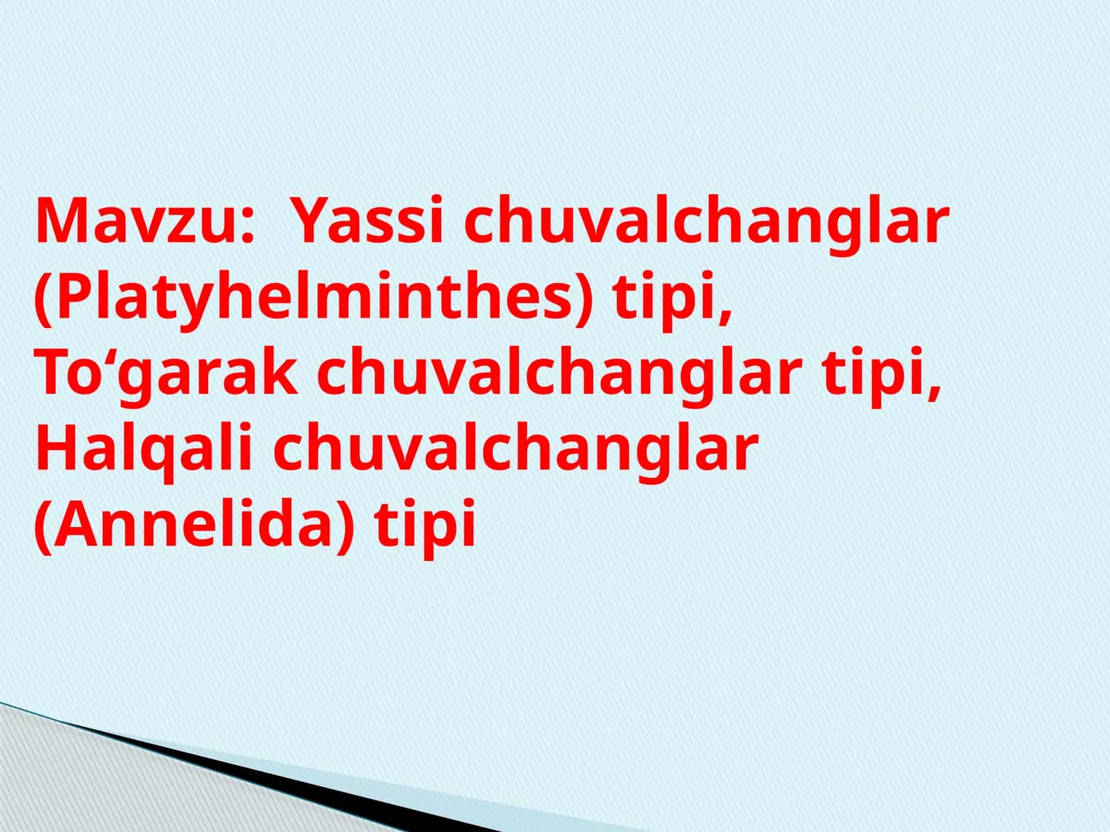 Yassi  chuvalchanglar  (Platyhelminthes) tipi