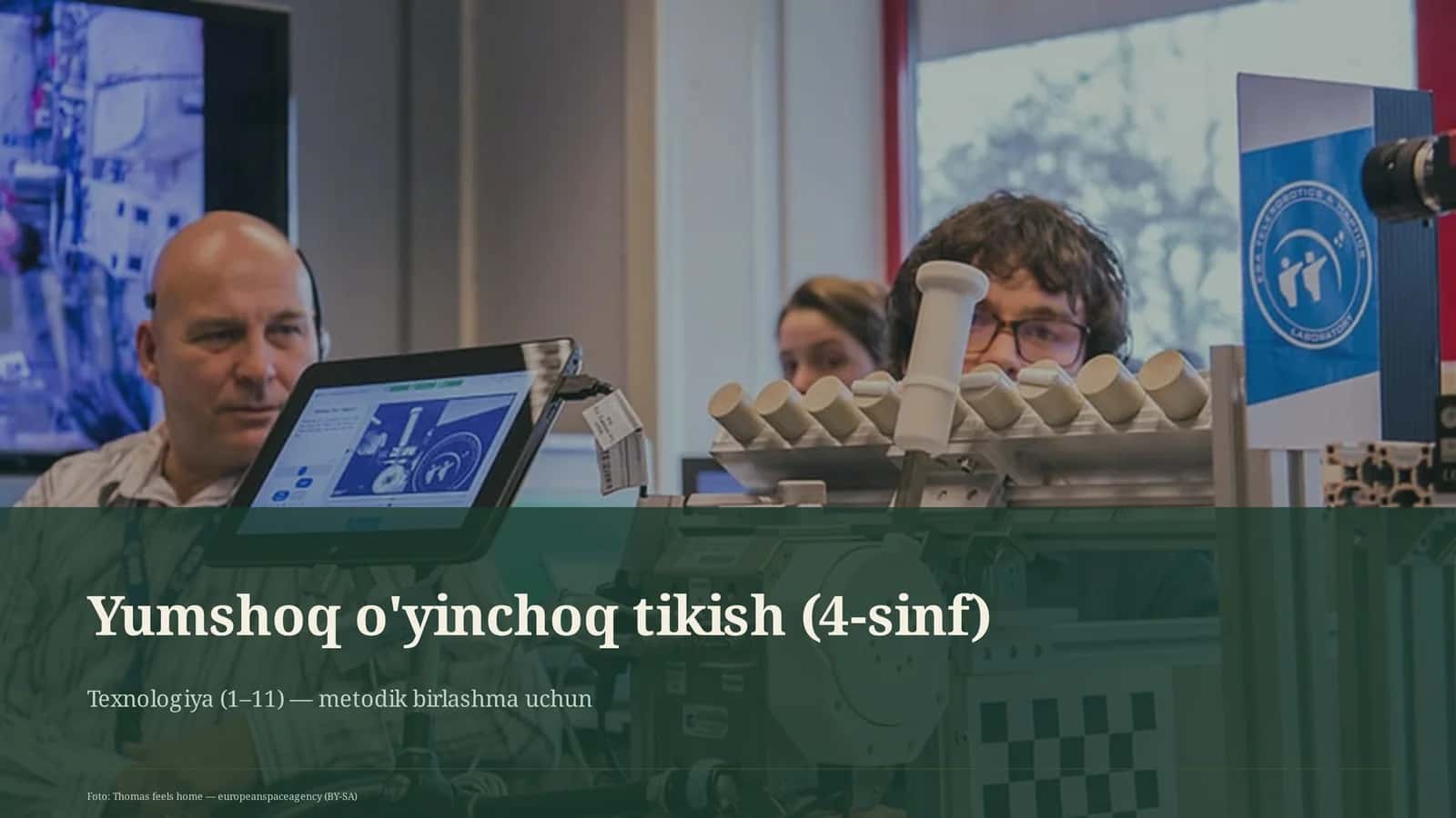Yumshoq o'yinchoq tikish (4-sinf)