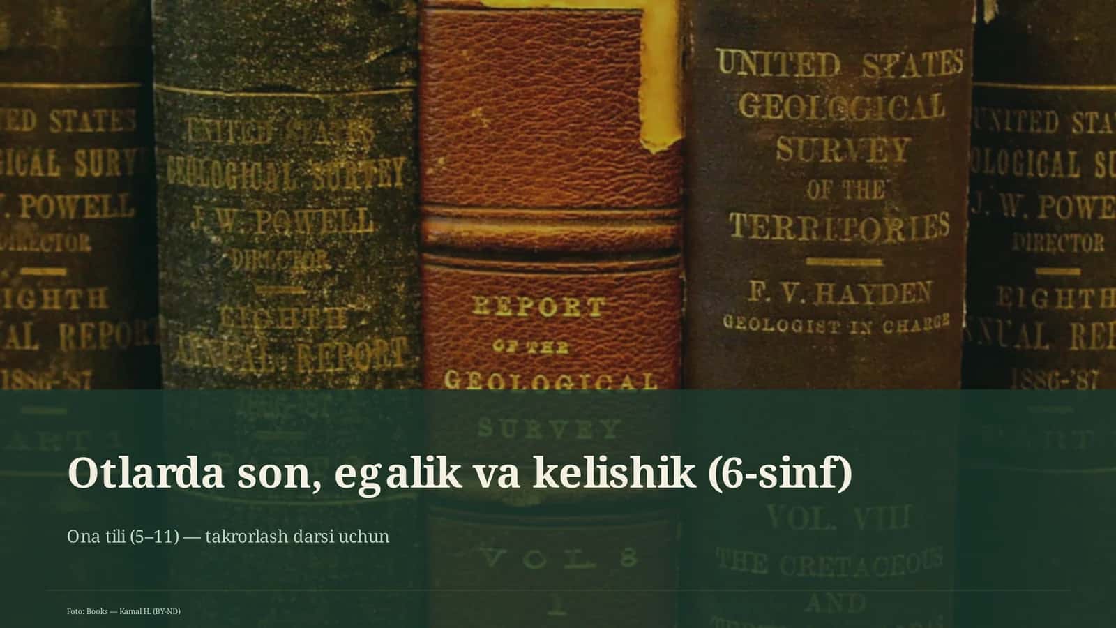 Otlarda son, egalik va kelishik (6-sinf)