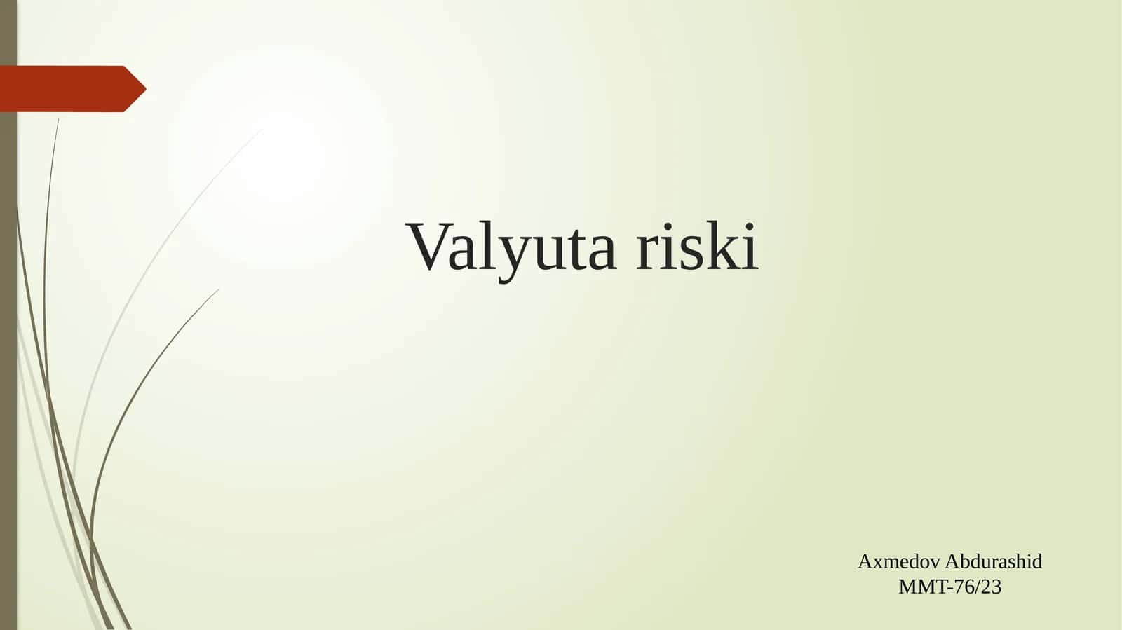 Valyuta riski